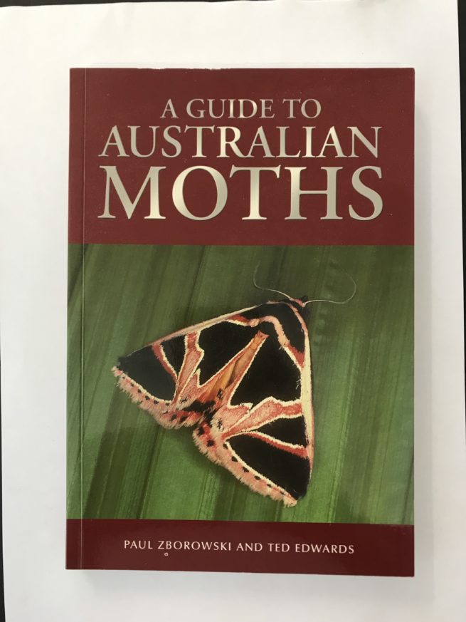 A Guide to Australian Moths 1
