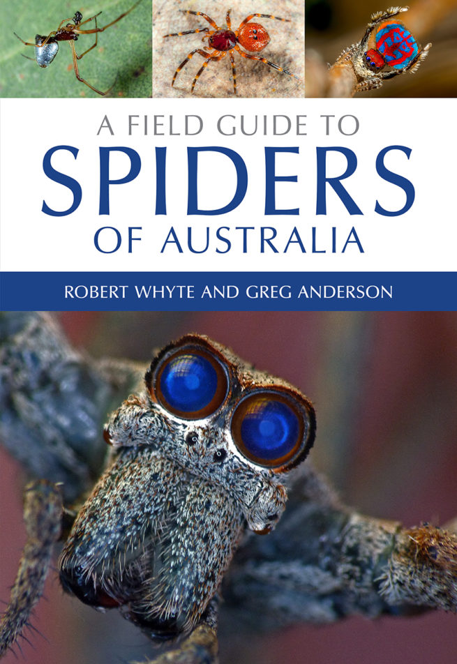 A Field Guide to Spiders of Australia 1