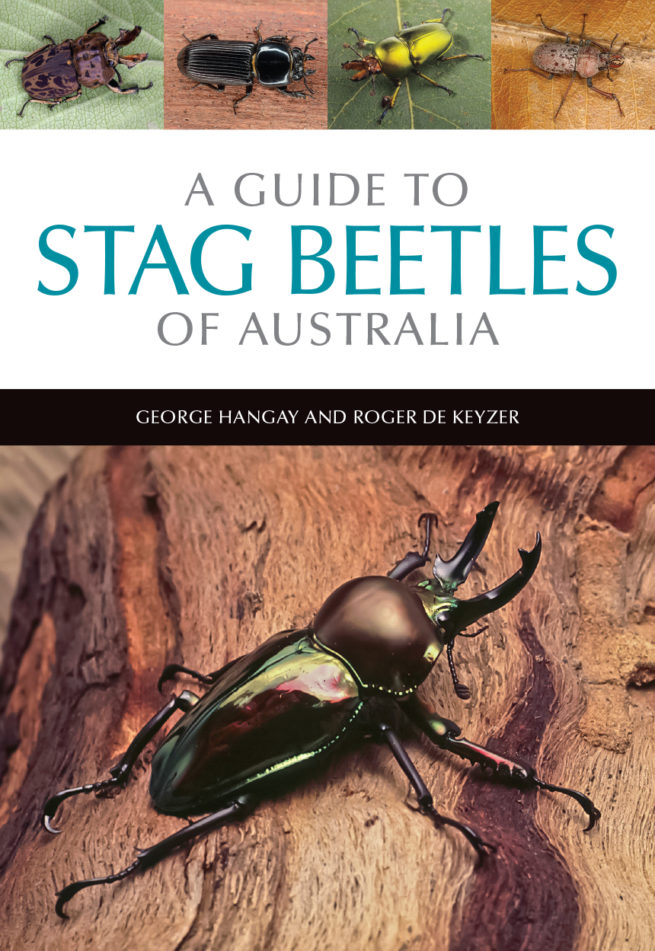 A Guide to Stag Beetles of Australia 1