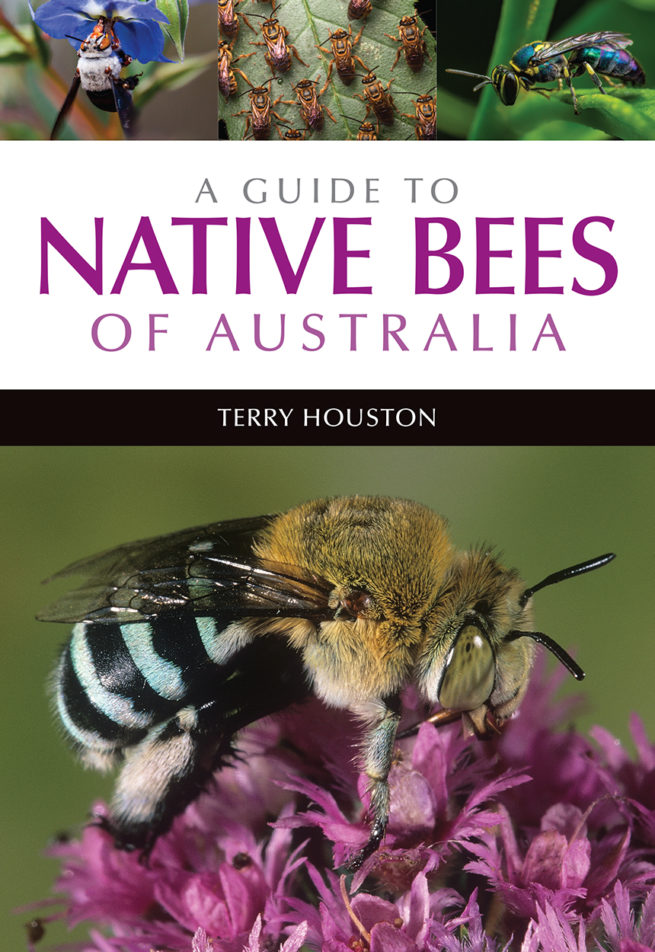 A Guide to Native Bees of Australia 1
