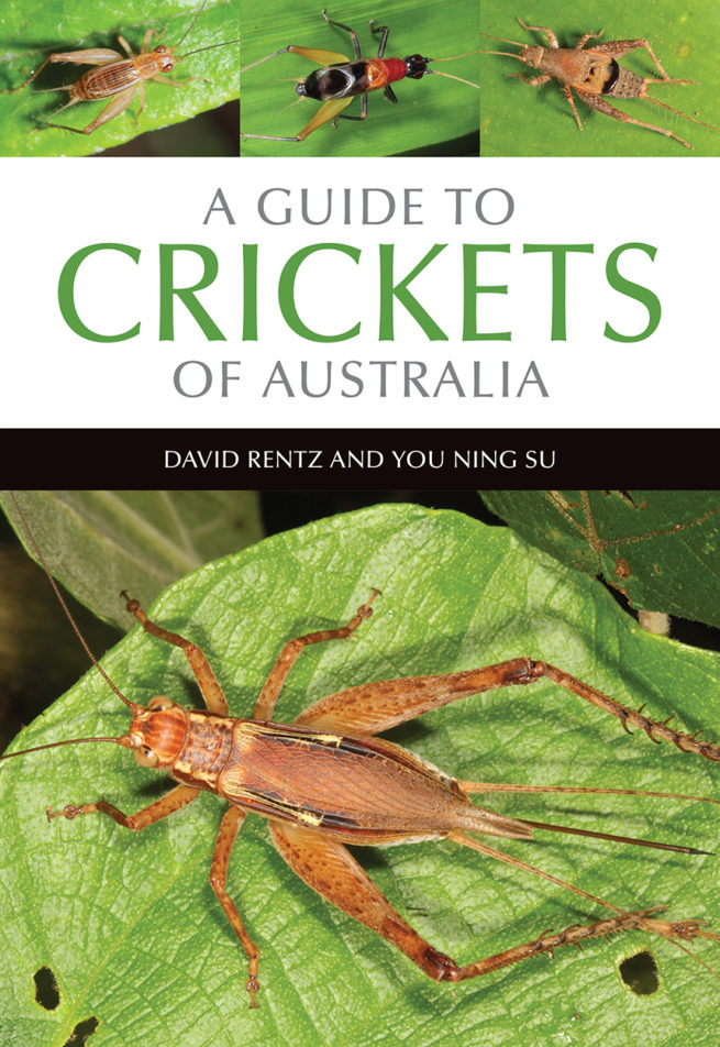 A Guide to Crickets of Australia 1