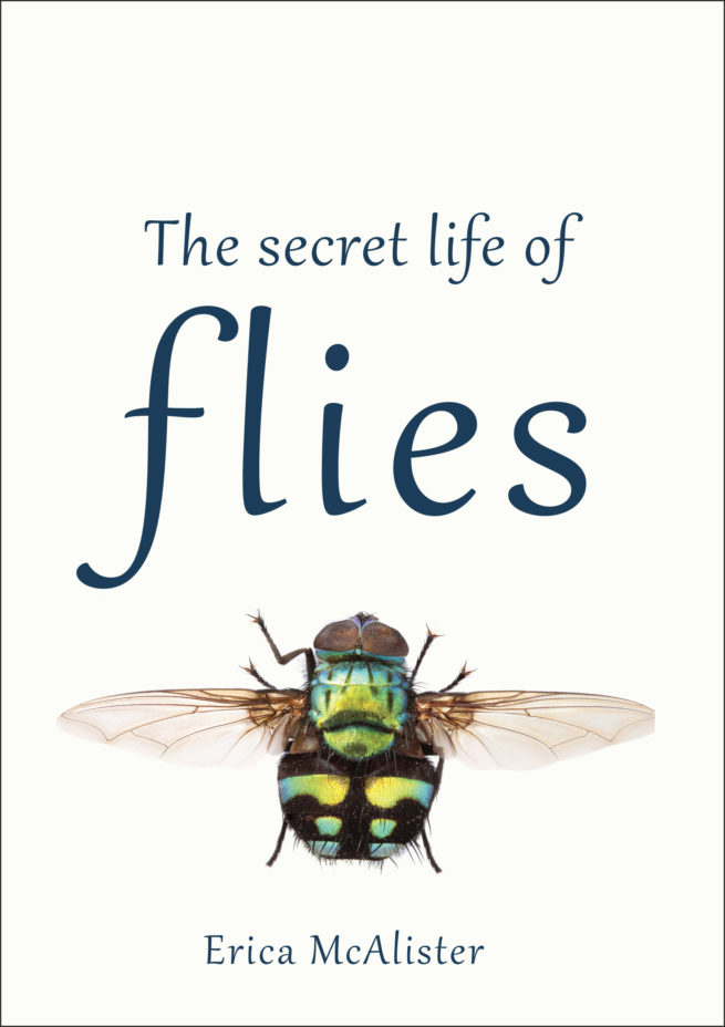 The Secret Life of Flies 1