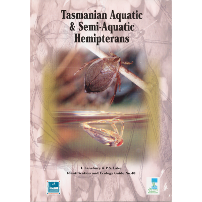Tasmanian Aquatic and Semi-Aquatic Hemipterans 1