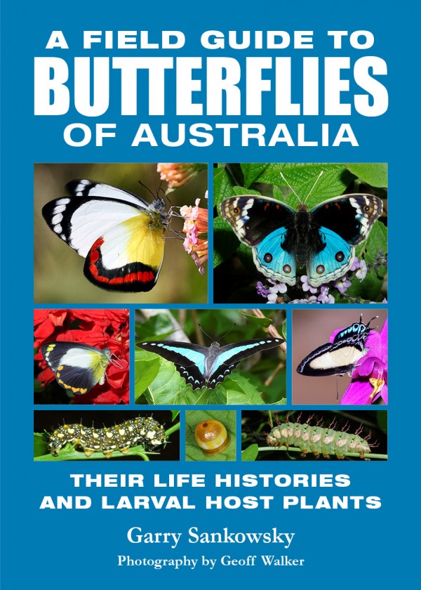 A Field Guide to Butterflies of Australia 1