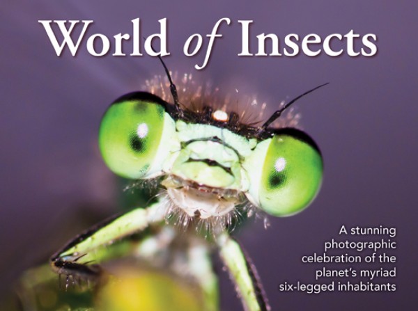World of Insects 1