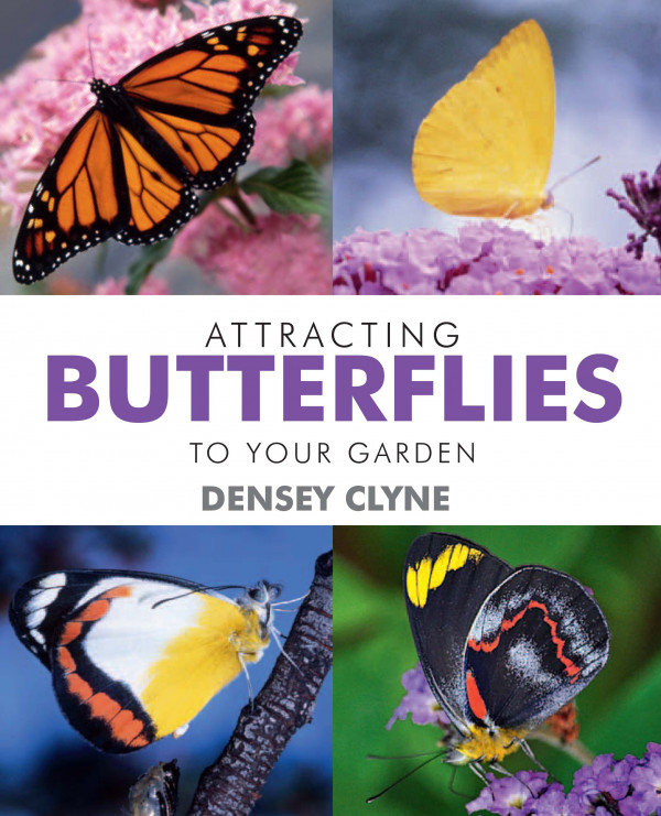 Attracting Butterflies to Your Garden, Densey Clyne 1