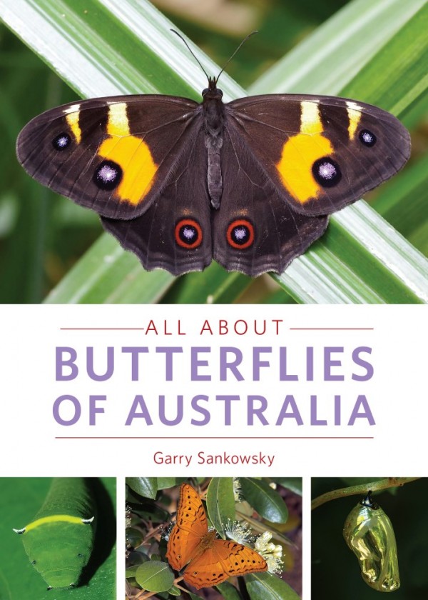 All About: Butterflies of Australia, Garry Sankowsky 1