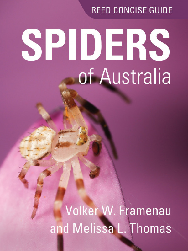 The Reed Concise Guide: Spiders of Australia 1