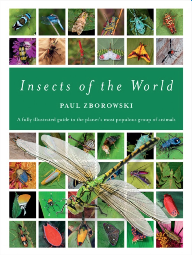 Insects Of The World, Paul Zborowski 1