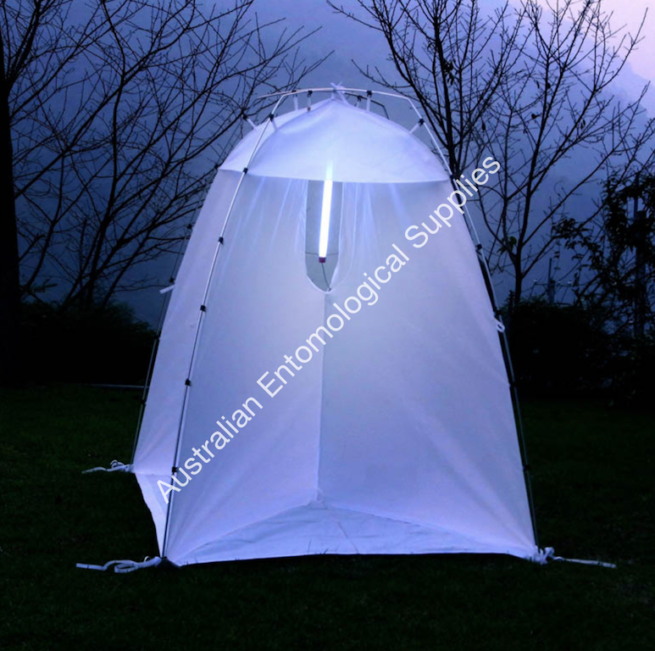 Night Collecting Tent 1