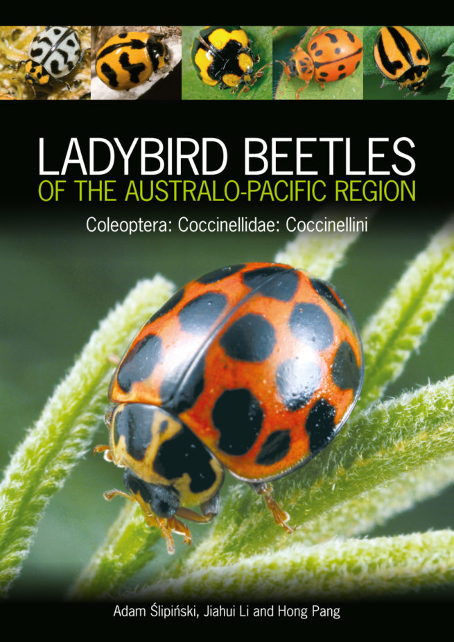 Ladybird Beetles of the Australo-Pacific Region 1