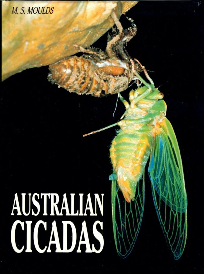 Australian Cicadas by Max S. Moulds 1