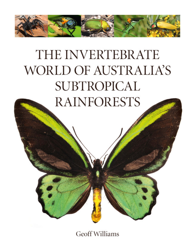 The Invertebrate World of Australia’s Subtropical Rainforests, Geoff Williams 1