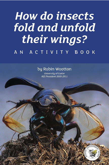 How Do Insects Fold and Unfold Their Wings? An Activity Book 1