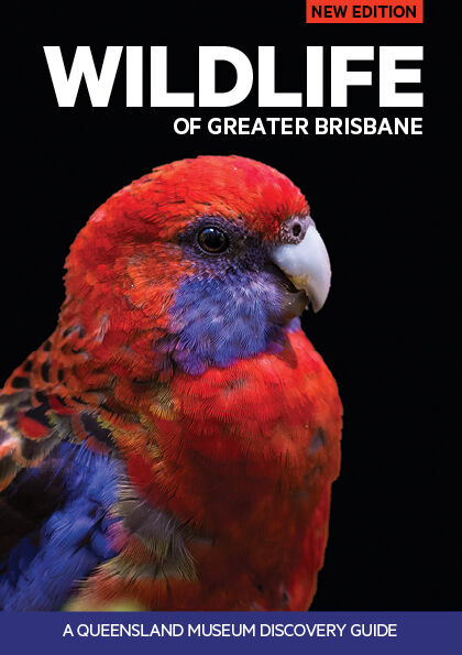 Wildlife of Greater Brisbane 3rd Edition 1