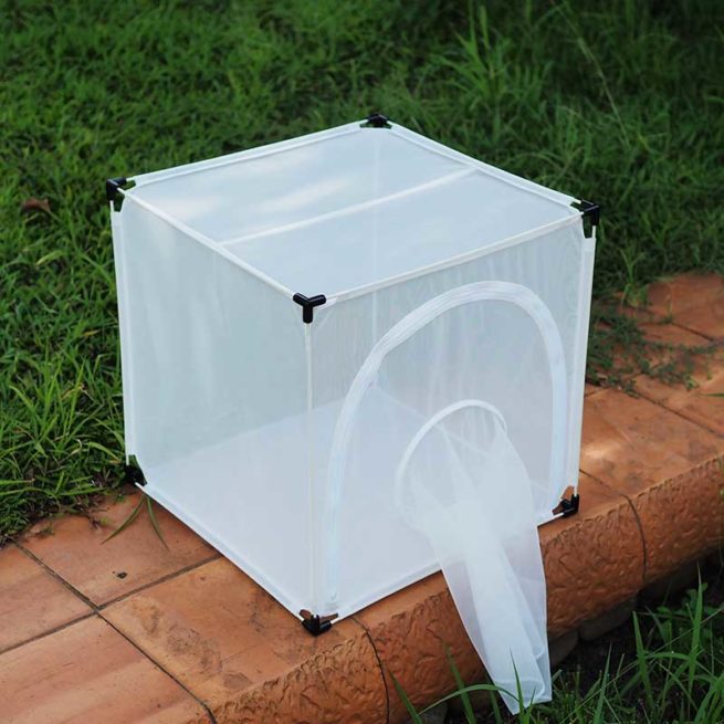 BugDorm 4E Series Insect Cages 5