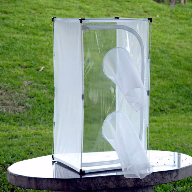 BugDorm 4S Series Insect Cages 9