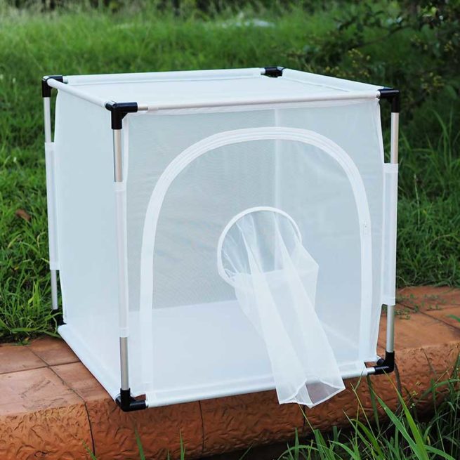 BugDorm 6E Series Insect Cages 1