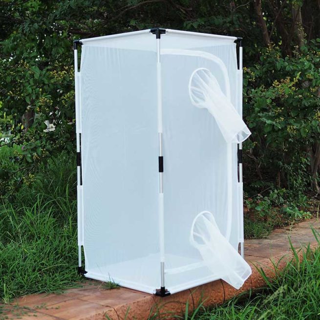 BugDorm 6E Series Insect Cages 2