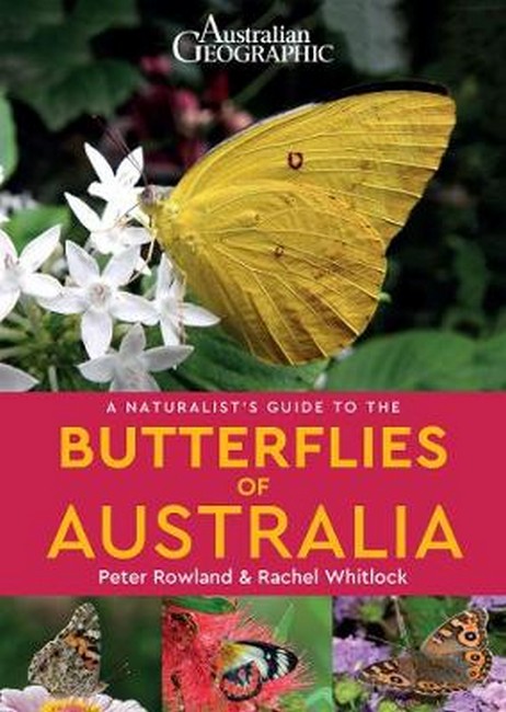 Australian Geographic Naturalist's Guide to the Butterflies of Australia 1