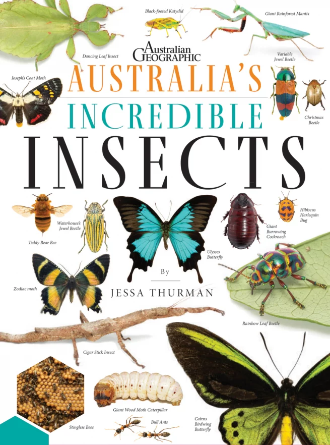 Australia's Incredible Insects, by Jessa Thurman 1