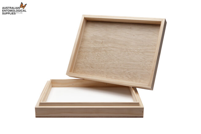 Insect Specimen Box - Australian Made