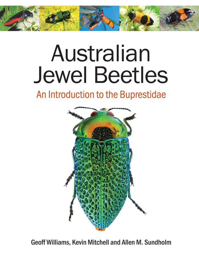 Australian Jewel Beetles book cover with beetle images.