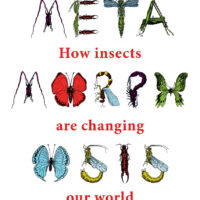 Book cover: Insects spell 'Metamorphosis', title 'How insects are changing our world'.