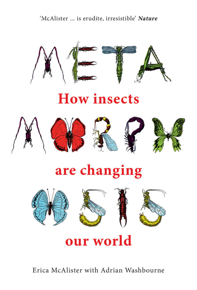 Book cover: Insects spell 'Metamorphosis', title 'How insects are changing our world'.